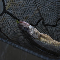 Brutus Foldable Extendable Fishing Net With Boat Hook