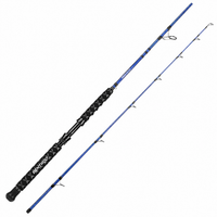 Kapstan Saltwater Spinning Rod