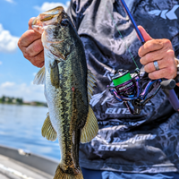 Royale Legend Pro Spinning Reels