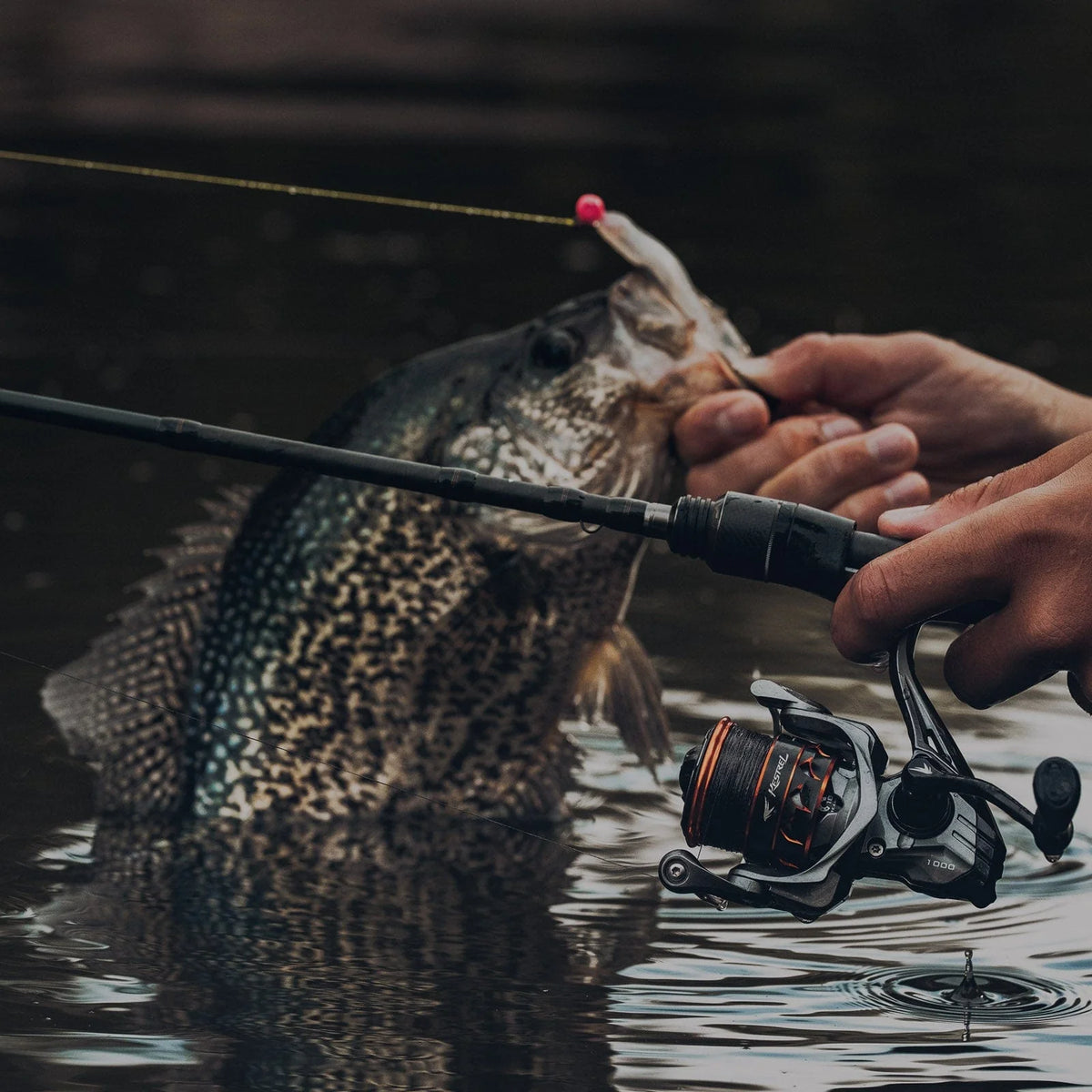 Kestrel SFS Spinning Fishing Rod and Reel Combo