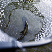 Brutus Foldable Extendable Fishing Net With Boat Hook