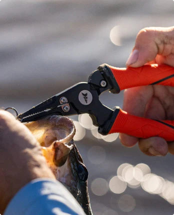 Tools & Accessories