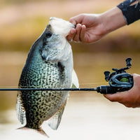 Kestrel Finesse Casting Rod