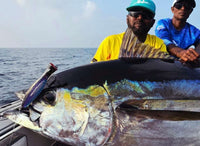 BenTrod Captain's Tuna Popping Bundle