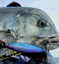 BenTrod Captain's Tuna Popping Bundle