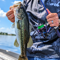 Royale Legend Pro Spinning Fishing Rod and Reel Combo