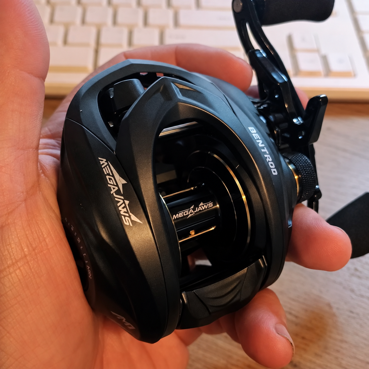 Jason Beck Fishing  review photo