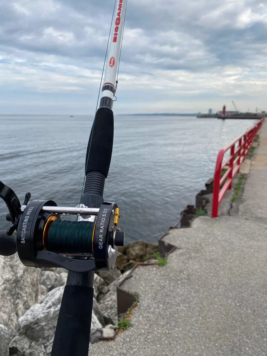 Ed Stein  review photo